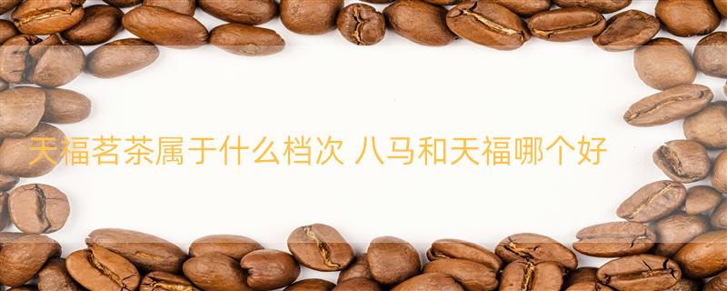 天福茗茶属于什么档次 八马和天福哪个好