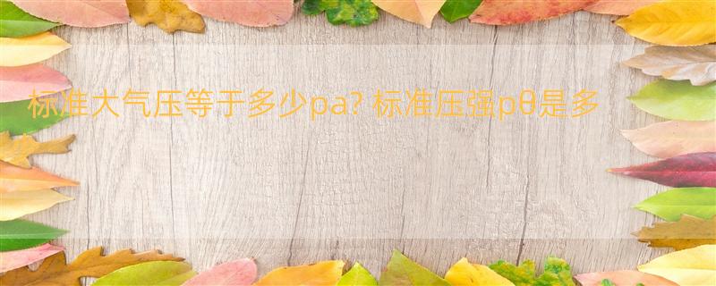 标准大气压等于多少pa? 标准压强pθ是多少