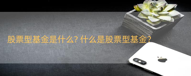 股票型基金是什么? 什么是股票型基金？