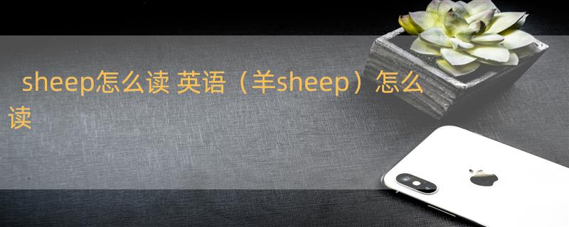 sheep怎么读 英语（羊sheep）怎么读