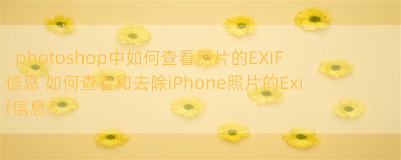 photoshop中如何查看照片的EXIF信息 如何查看和去除iPhone照片的Exif信息？