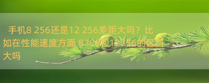 手机8+256还是12+256差距大吗？比如在性能速度方面 8256和12256的区别大吗