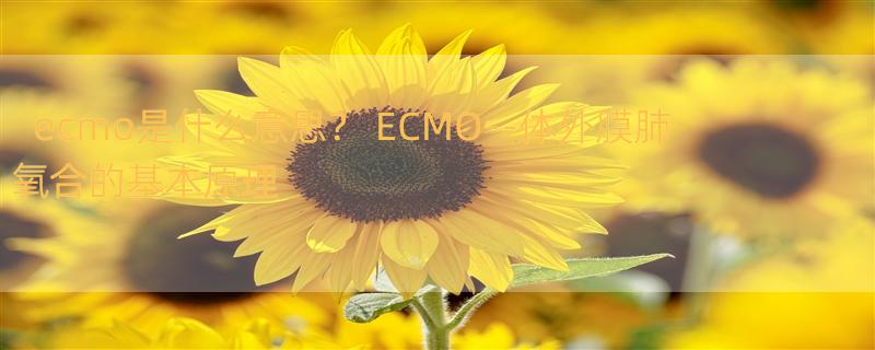 ecmo是什么意思？ ECMO--体外膜肺氧合的基本原理