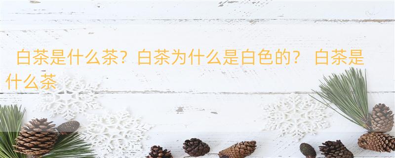 白茶是什么茶？白茶为什么是白色的？ 白茶是什么茶