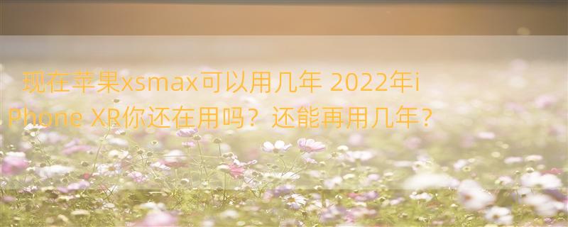 现在苹果xsmax可以用几年 2022年iPhone XR你还在用吗？还能再用几年？