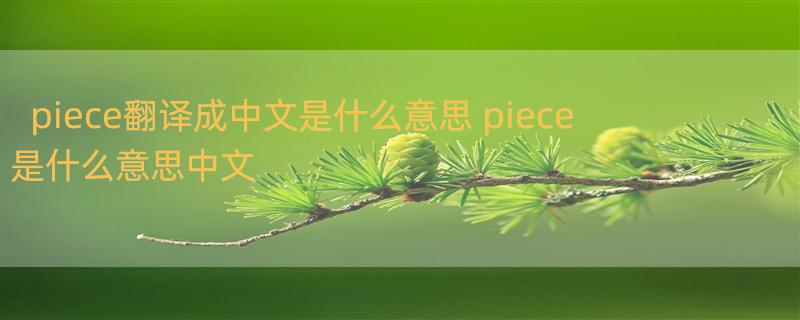 piece翻译成中文是什么意思 piece是什么意思中文