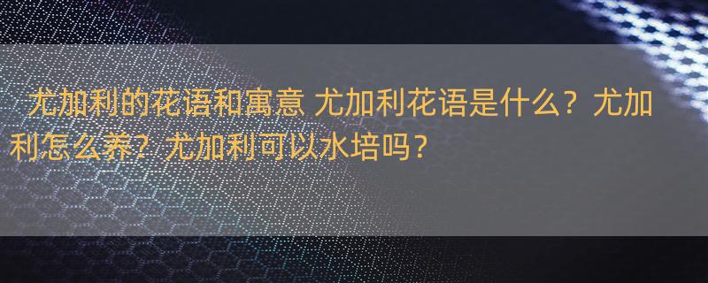 尤加利的花语和寓意 尤加利花语是什么？尤加利怎么养？尤加利可以水培吗？