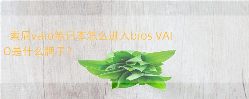 索尼vaio笔记本怎么进入bios VAIO是什么牌子？