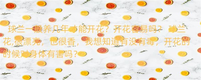 球兰一般养几年才能开花？开花容易吗？ 球兰花,很漂亮，也很香，我想知道有没有毒，开花的时候对身体有害吗？