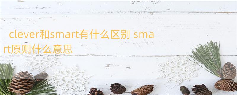 clever和smart有什么区别 smart原则什么意思