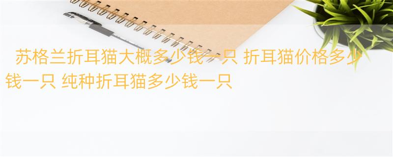 苏格兰折耳猫大概多少钱一只 折耳猫价格多少钱一只 纯种折耳猫多少钱一只