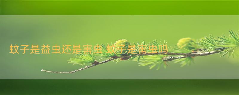 蚊子是益虫还是害虫 蚊子是害虫吗