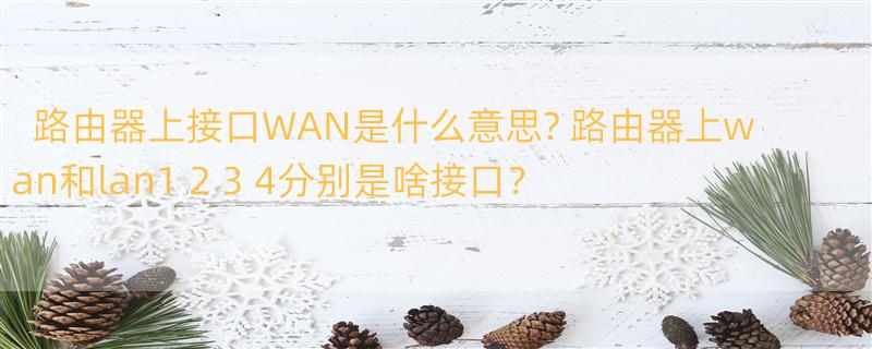 路由器上接口WAN是什么意思? 路由器上wan和lan1 2 3 4分别是啥接口？