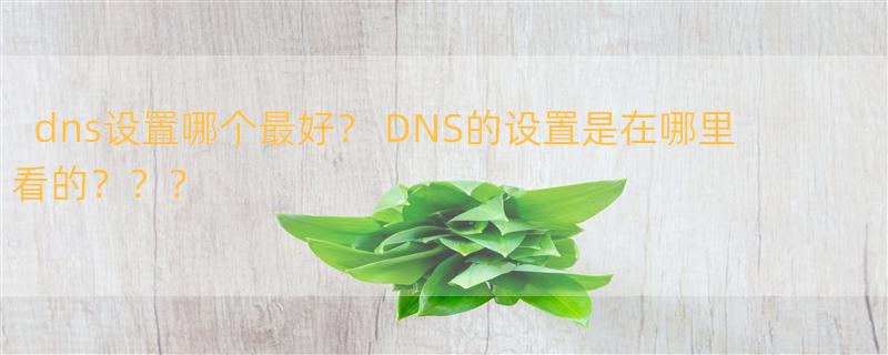 dns设置哪个最好？ DNS的设置是在哪里看的？？？