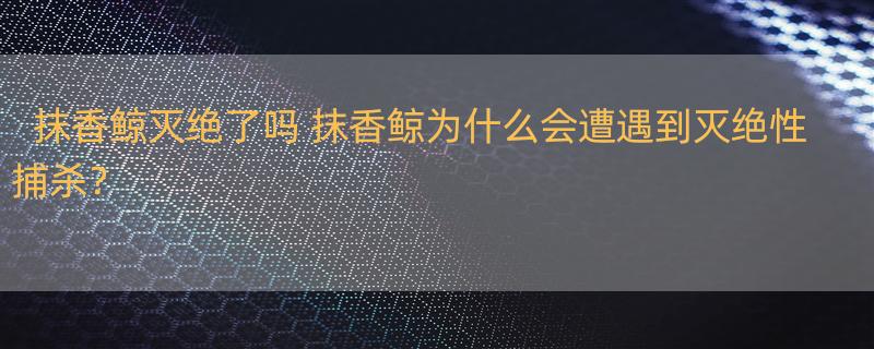 抹香鲸灭绝了吗 抹香鲸为什么会遭遇到灭绝性捕杀？