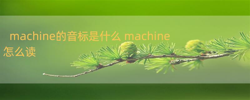 machine的音标是什么 machine怎么读