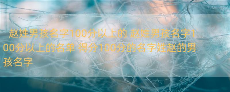 赵姓男孩名字100分以上的 赵姓男孩名字100分以上的名单 得分100分的名字姓赵的男孩名字