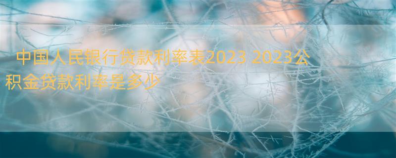 中国人民银行贷款利率表2023 2023公积金贷款利率是多少