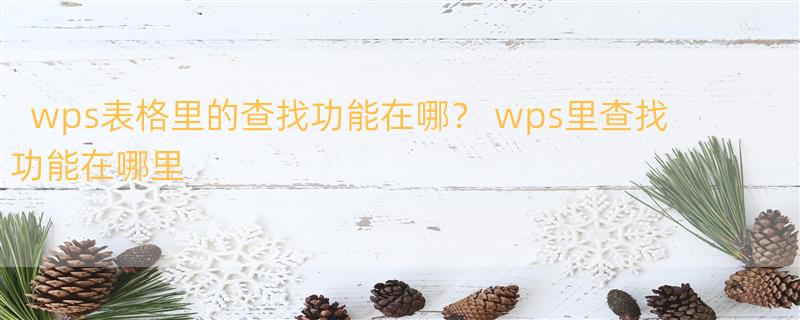 wps表格里的查找功能在哪？ wps里查找功能在哪里