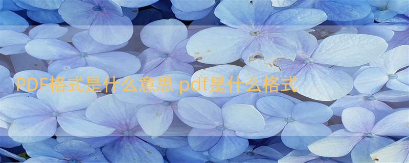 PDF格式是什么意思 pdf是什么格式