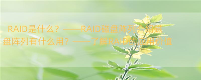 RAID介绍 RAID磁盘阵列的介绍