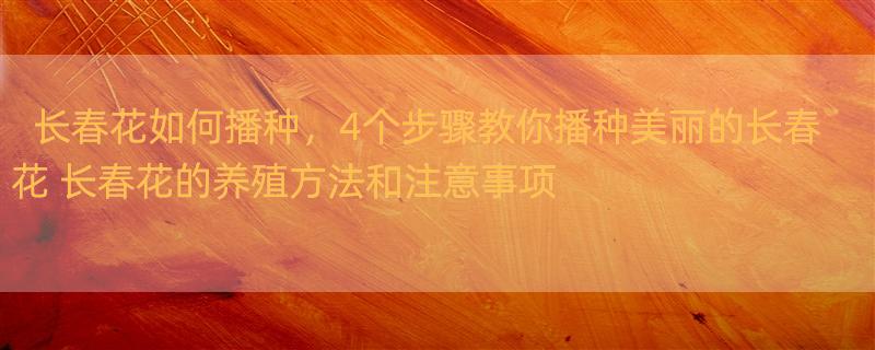 长春花如何播种，4个步骤教你播种美丽的长春花 长春花的养殖方法和注意事项