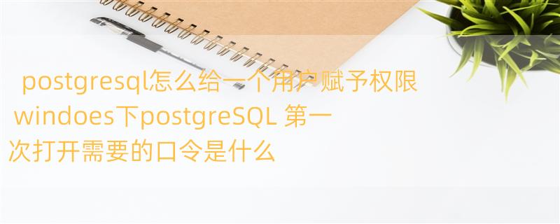 postgresql怎么给一个用户赋予权限 windoes下postgreSQL 第一次打开需要的口令是什么