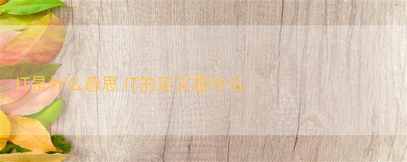 IT是什么意思 IT的定义是什么