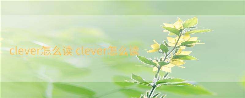 clever怎么读 clever怎么读