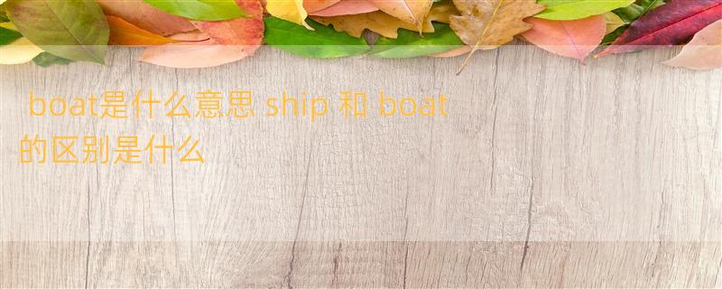 boat是什么意思 ship 和 boat 的区别是什么