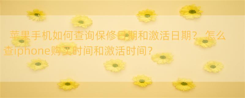 苹果手机如何查询保修日期和激活日期？ 怎么查iphone购买时间和激活时间？