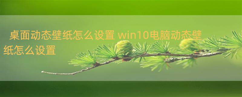 桌面动态壁纸怎么设置 win10电脑动态壁纸怎么设置