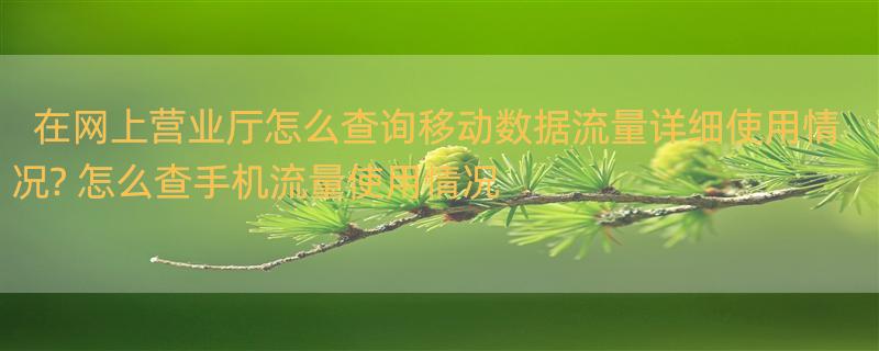 在网上营业厅怎么查询移动数据流量详细使用情况? 怎么查手机流量使用情况