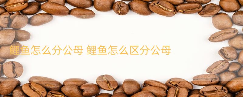 鲤鱼怎么分公母 鲤鱼怎么区分公母