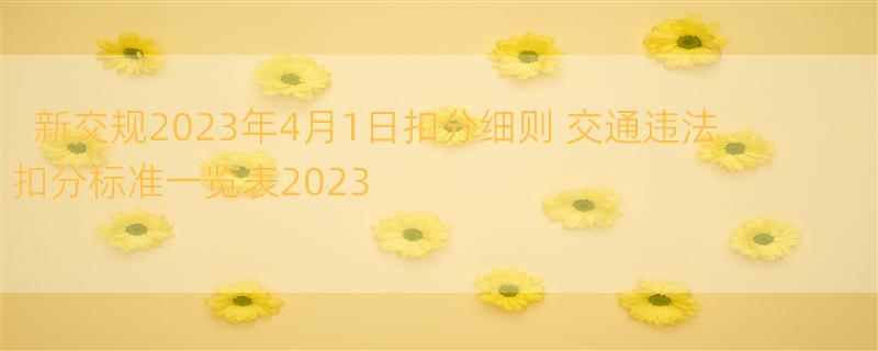 新交规2023年4月1日扣分细则 交通违法扣分标准一览表2023