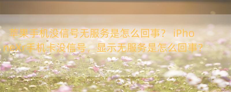 苹果手机没信号无服务是怎么回事？ iPhoneXr手机卡没信号，显示无服务是怎么回事？