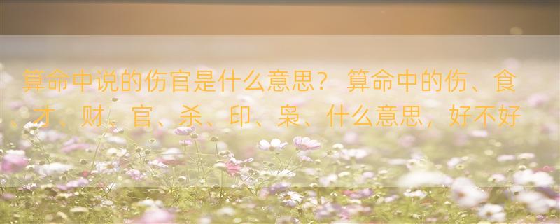 算命中说的伤官是什么意思？ 算命中的伤、食、才、财、官、杀、印、枭、什么意思，好不好