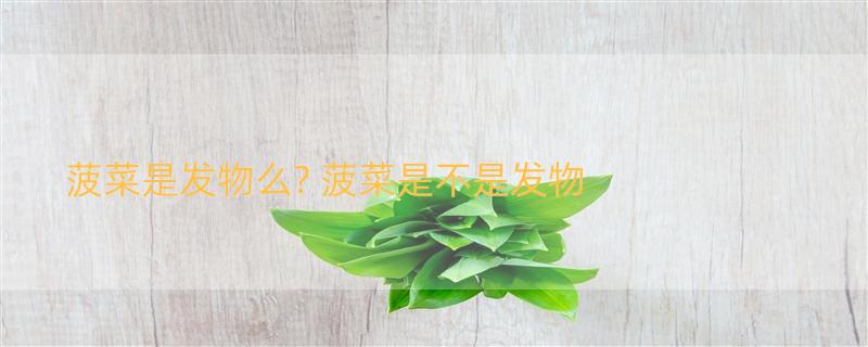 菠菜是发物么? 菠菜是不是发物