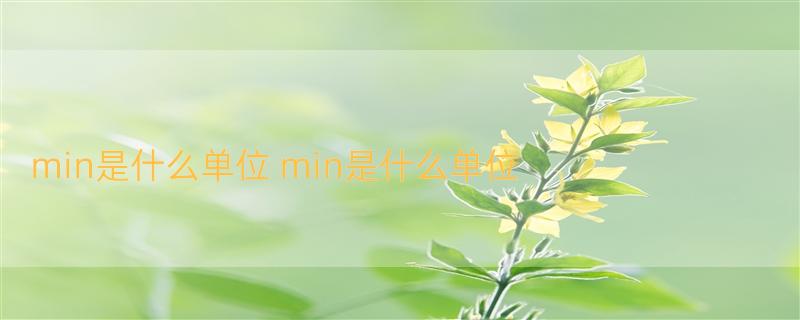 min是什么单位 min是什么单位