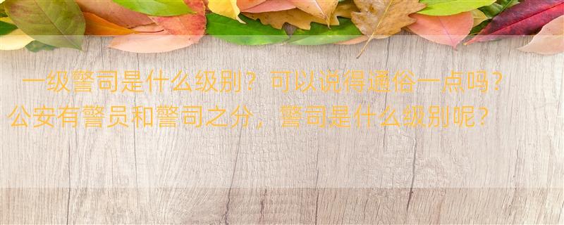 一级警司是什么级别？可以说得通俗一点吗？ 公安有警员和警司之分，警司是什么级别呢？