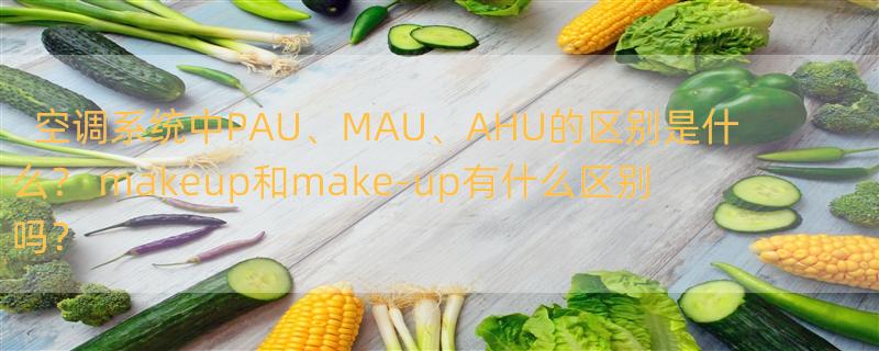 空调系统中PAU、MAU、AHU的区别是什么？ makeup和make-up有什么区别吗？