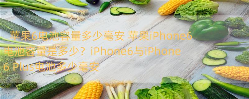 苹果6电池容量多少毫安 苹果iPhone6电池容量是多少？iPhone6与iPhone6 Plus电池多少毫安