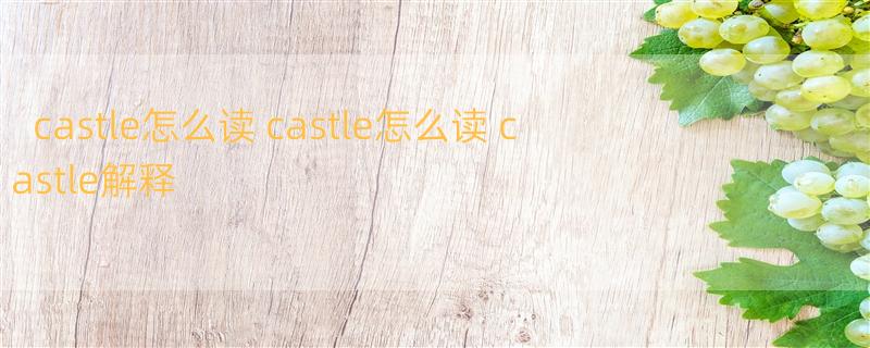 castle怎么读 castle怎么读 castle解释