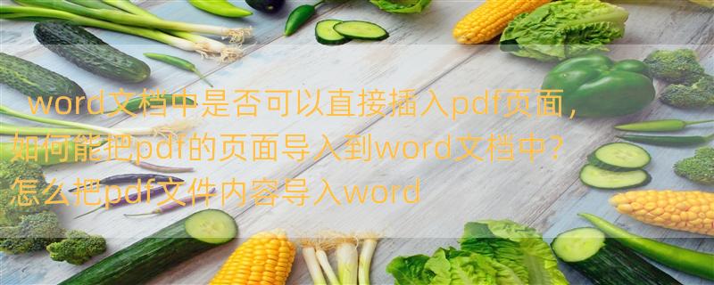 word文档中是否可以直接插入pdf页面，如何能把pdf的页面导入到word文档中？ 怎么把pdf文件内容导入word