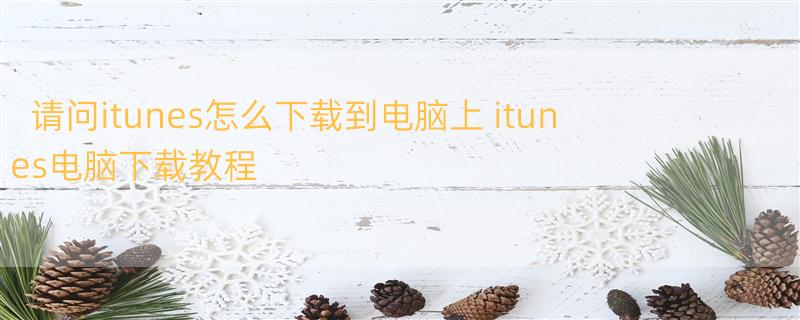 请问itunes怎么下载到电脑上 itunes电脑下载教程