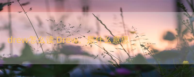 drew怎么读 Drew，是什么意思