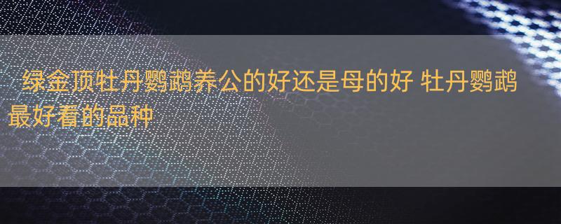 绿金顶牡丹鹦鹉养公的好还是母的好 牡丹鹦鹉最好看的品种