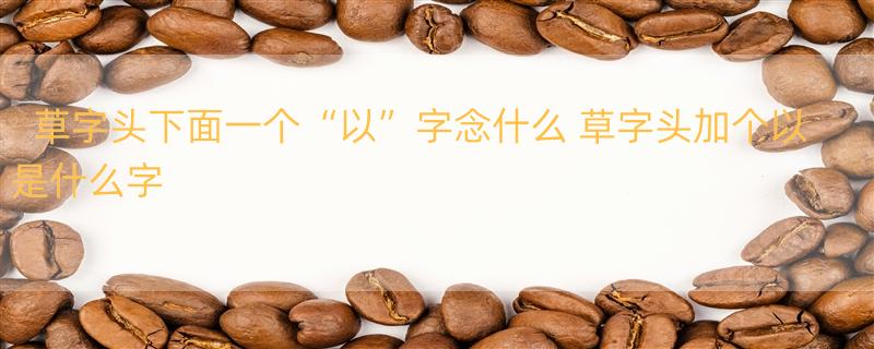 草字头下面一个“以”字念什么 草字头加个以是什么字