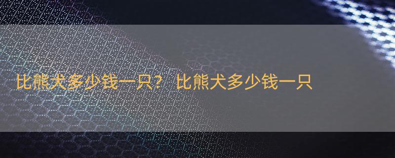 比熊犬多少钱一只？ 比熊犬多少钱一只