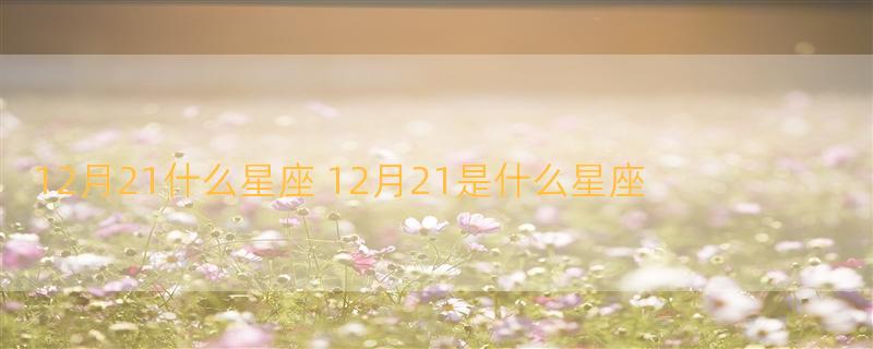 12月21什么星座 12月21是什么星座